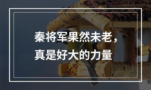秦将军果然未老，真是好大的力量