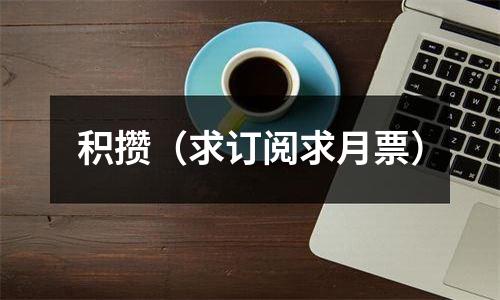 积攒（求订阅求月票）