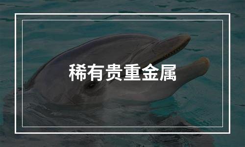 稀有贵重金属