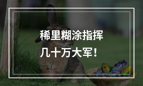 稀里糊涂指挥几十万大军！