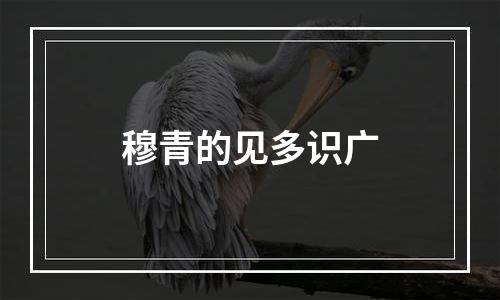 穆青的见多识广