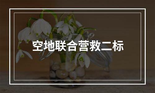 空地联合营救二标