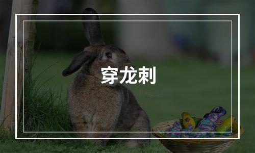 穿龙刺