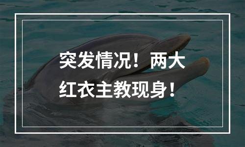 突发情况！两大红衣主教现身！