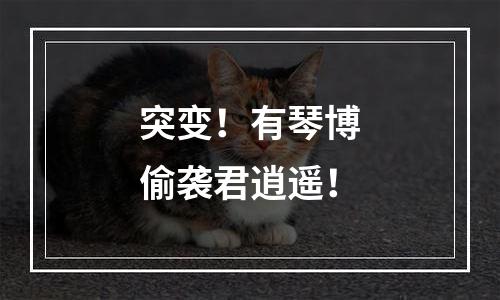 突变！有琴博偷袭君逍遥！