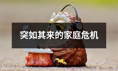 突如其来的家庭危机