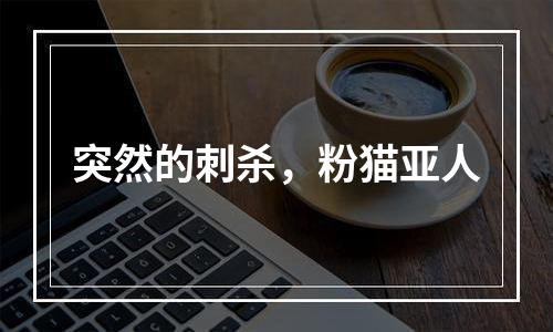 突然的刺杀，粉猫亚人