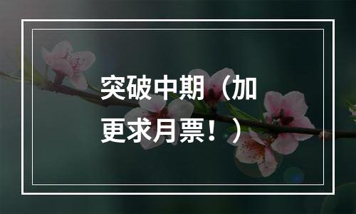 突破中期（加更求月票！）