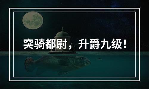 突骑都尉，升爵九级！