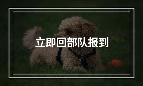 立即回部队报到