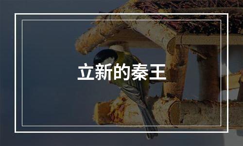 立新的秦王
