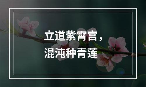 立道紫霄宫，混沌种青莲