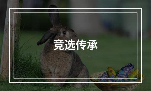 竞选传承