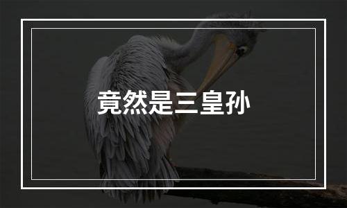 竟然是三皇孙