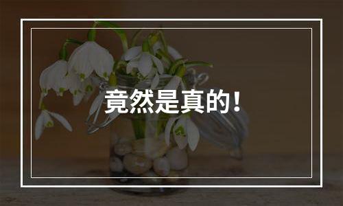 竟然是真的！