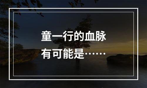 童一行的血脉有可能是……