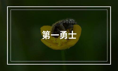 第一勇士