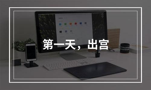 第一天，出宫