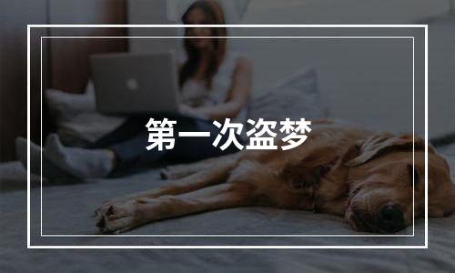 第一次盗梦