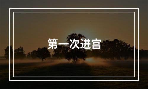 第一次进宫
