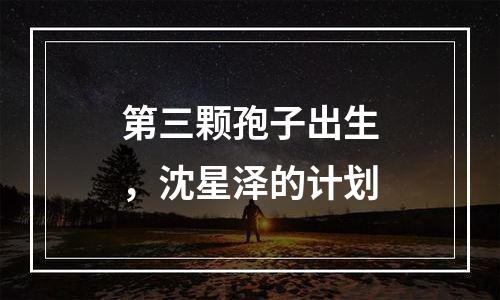 第三颗孢子出生，沈星泽的计划