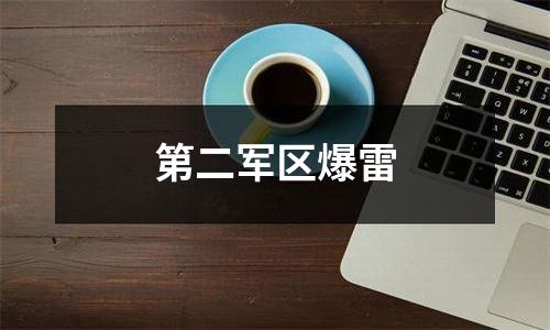 第二军区爆雷
