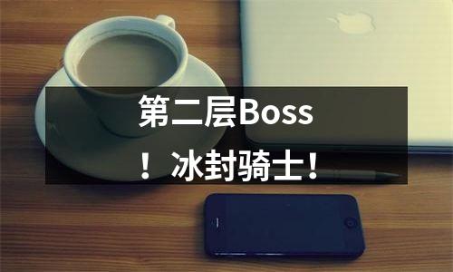 第二层Boss！冰封骑士！