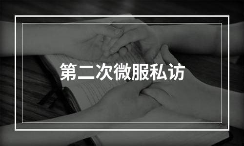 第二次微服私访