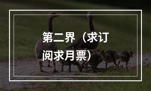 第二界（求订阅求月票）