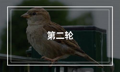 第二轮