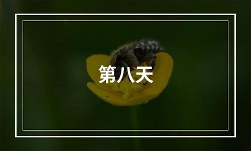 第八天