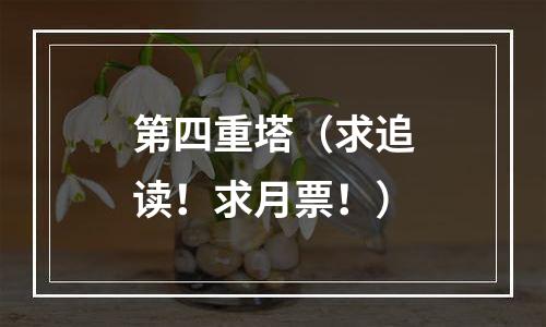 第四重塔（求追读！求月票！）