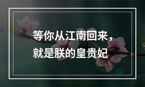 等你从江南回来，就是朕的皇贵妃
