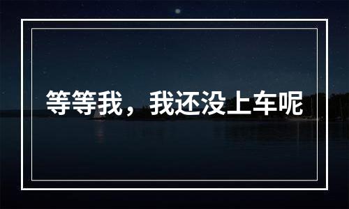 等等我，我还没上车呢