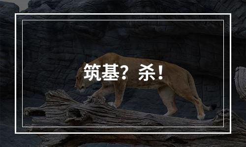 筑基？杀！