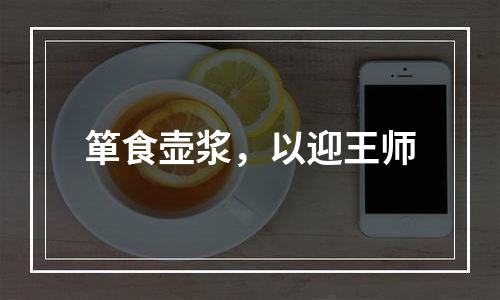 箪食壶浆，以迎王师