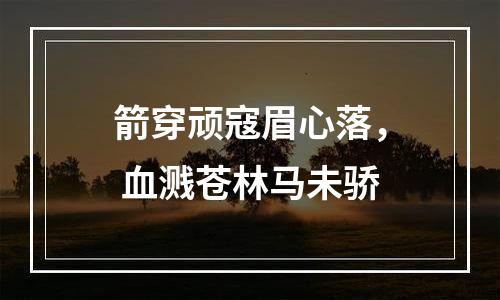 箭穿顽寇眉心落， 血溅苍林马未骄