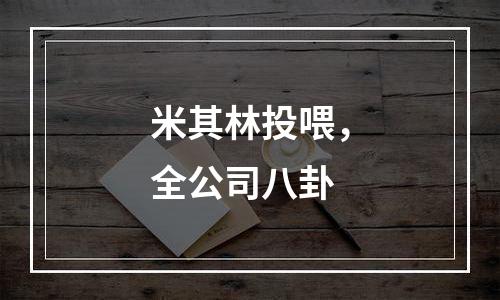 米其林投喂，全公司八卦