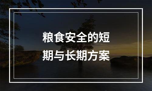 粮食安全的短期与长期方案