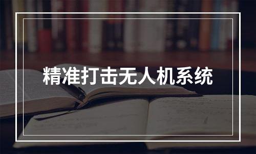 精准打击无人机系统
