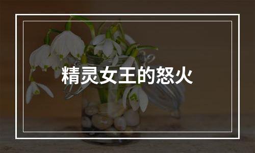 精灵女王的怒火