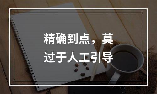 精确到点，莫过于人工引导
