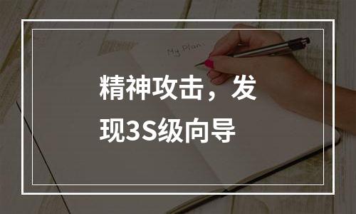 精神攻击，发现3S级向导