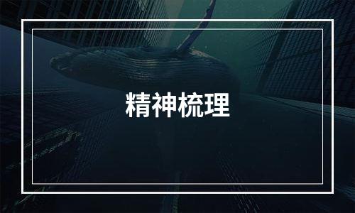 精神梳理