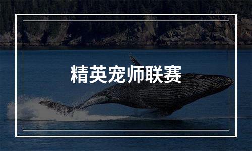 精英宠师联赛