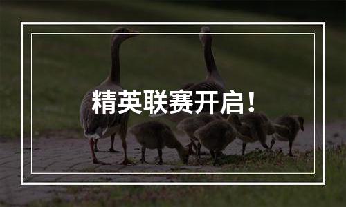 精英联赛开启！