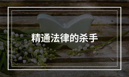 精通法律的杀手