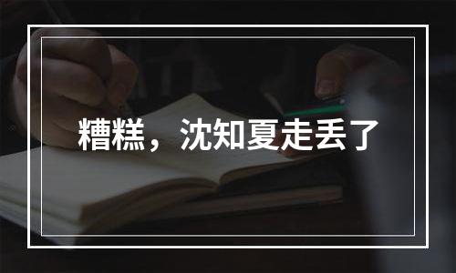 糟糕，沈知夏走丢了