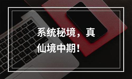 系统秘境，真仙境中期！