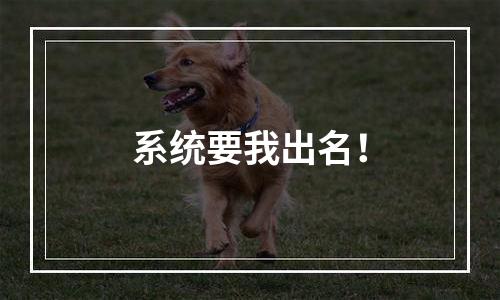 系统要我出名！